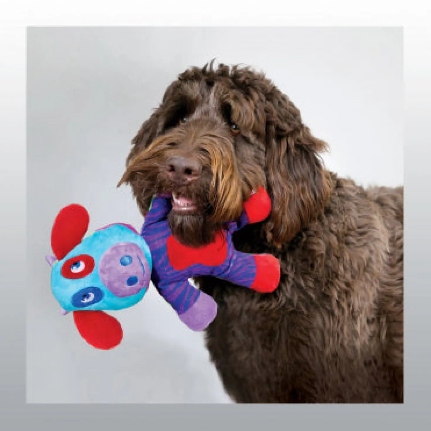 Jouet Kong Switcheroos chien