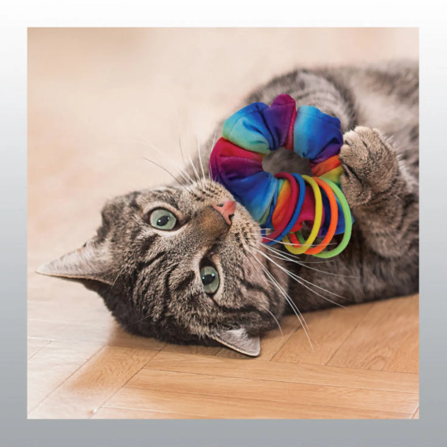 Kong active chouchou avec élastiques pour chat