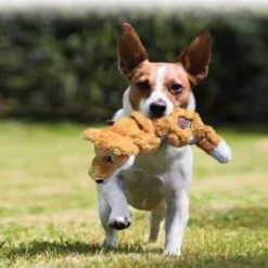 Kong Scrunch Knots Renard chien