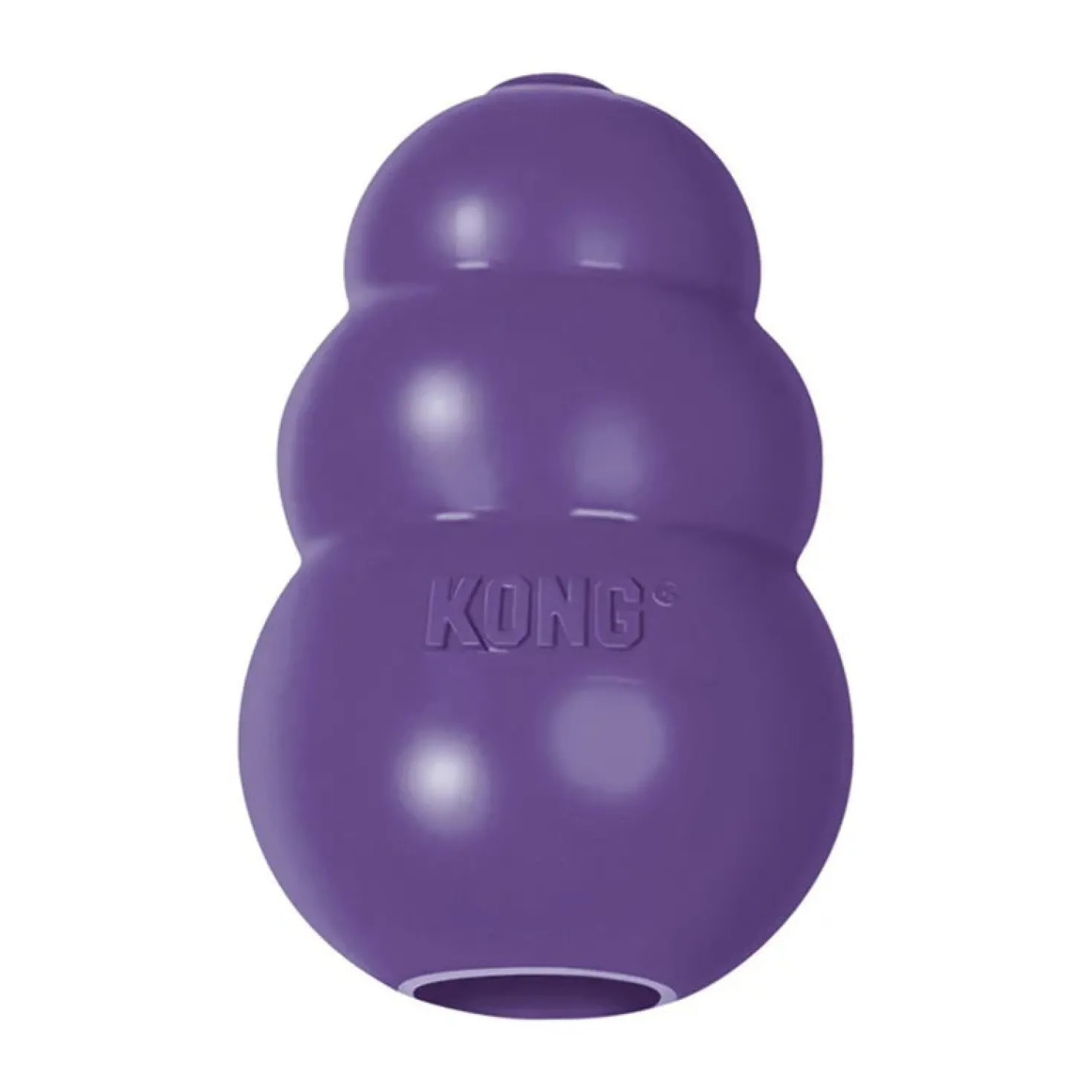 KONG senior