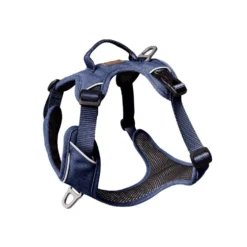 KYFLIE - Chien - Harnais Momentum