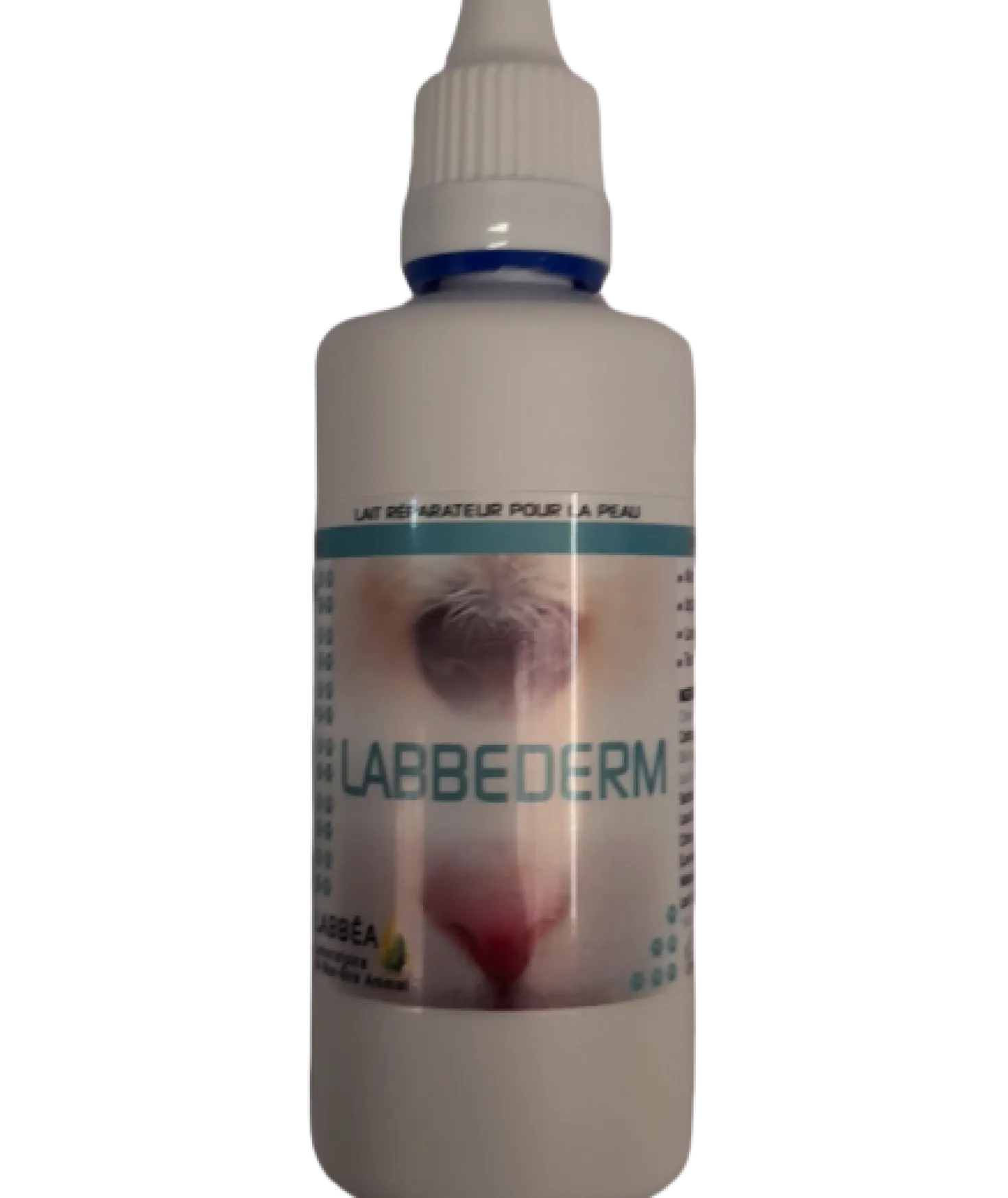 Labbederm chien, chat, rongeur