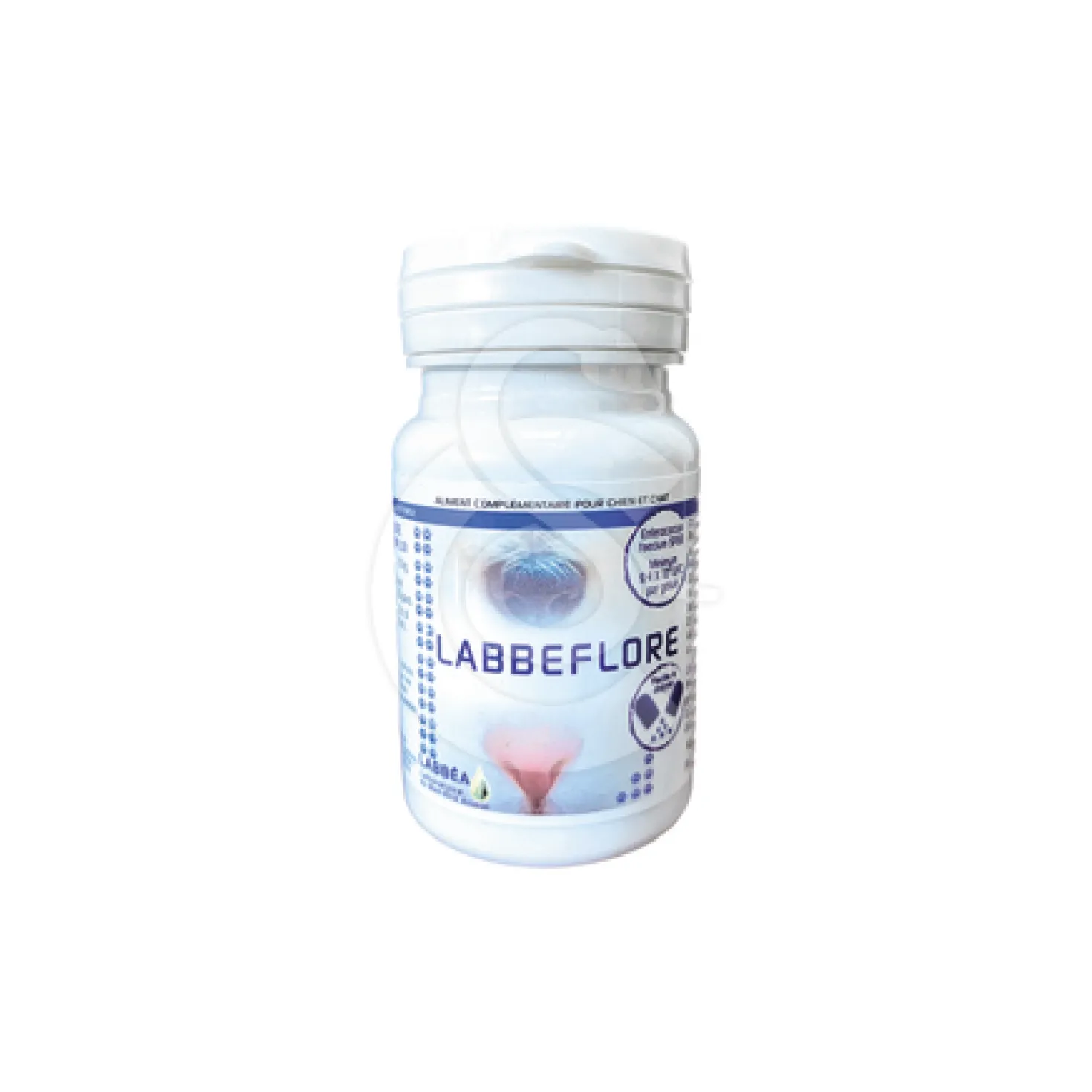 Labbeflore chat, chien