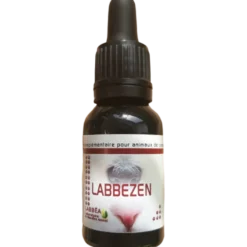 Labbezen chat, chien