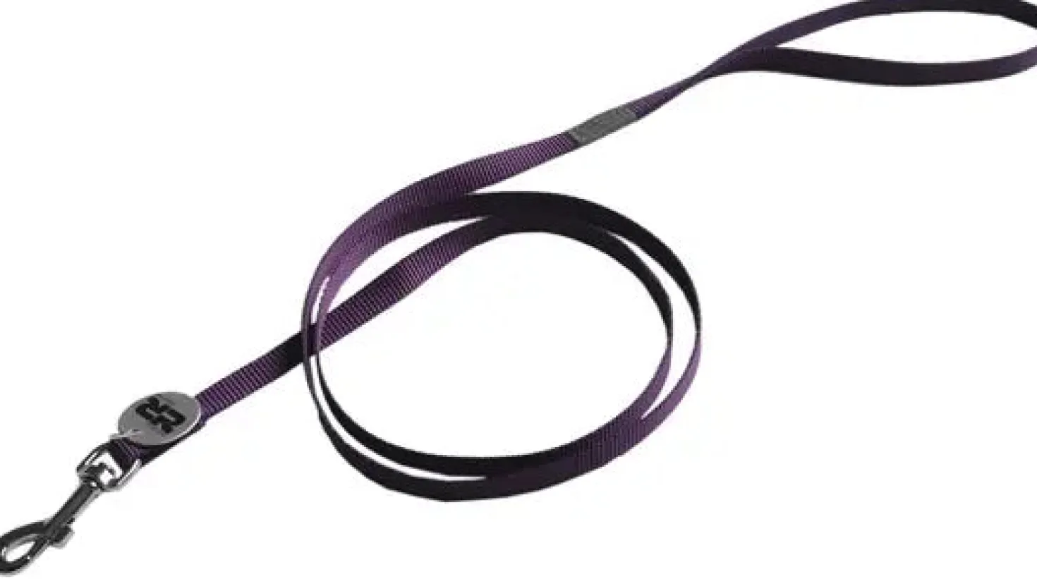 Laisse Basic violet chat