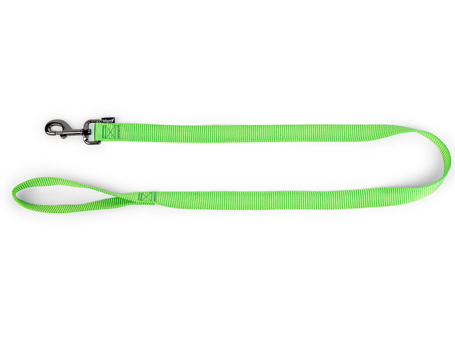 Laisse Classic Nylon