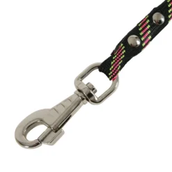 Laisse corde en nylon chien
