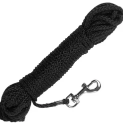 Laisse de travail chien