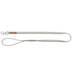 Laisse en cuir grise Be Nordic chien