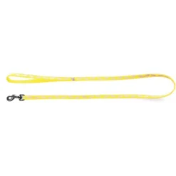 Laisse fluo fish