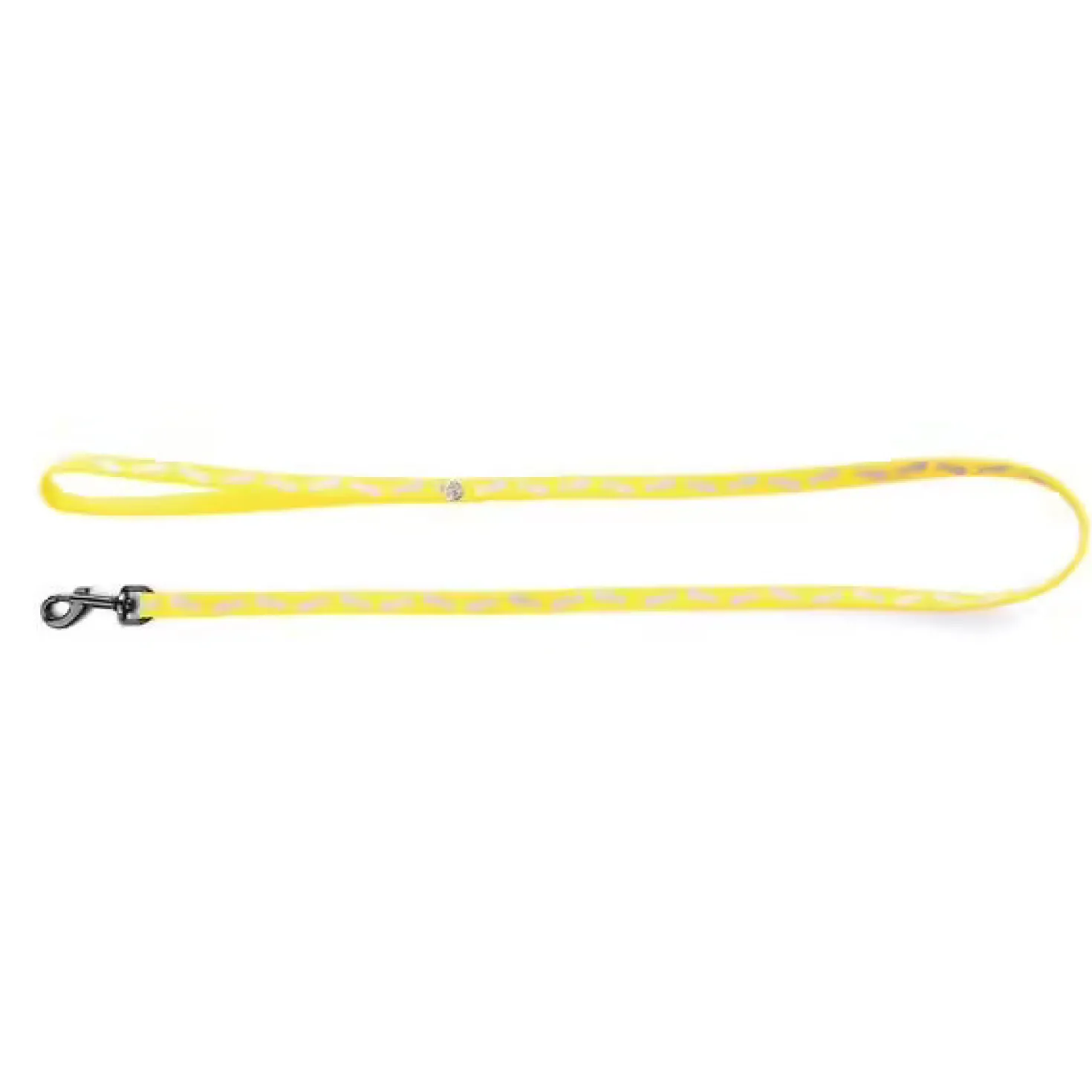 Laisse fluo fish
