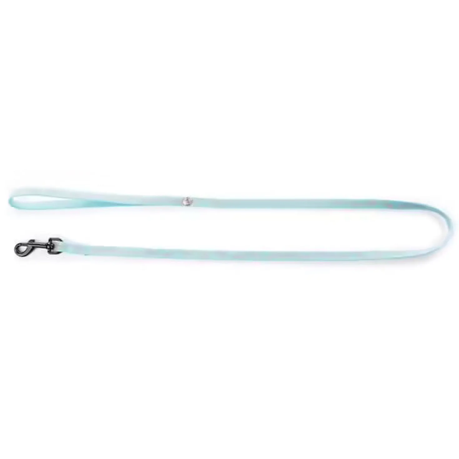Laisse fluo fish
