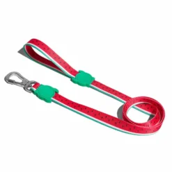 Laisse Lola rouge pastèque chien