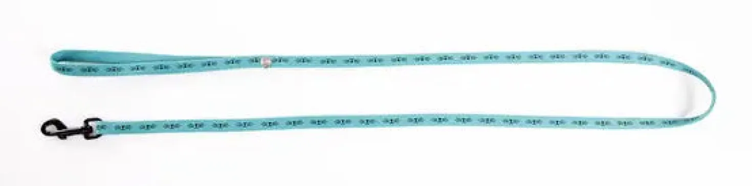Laisse motif frimousse