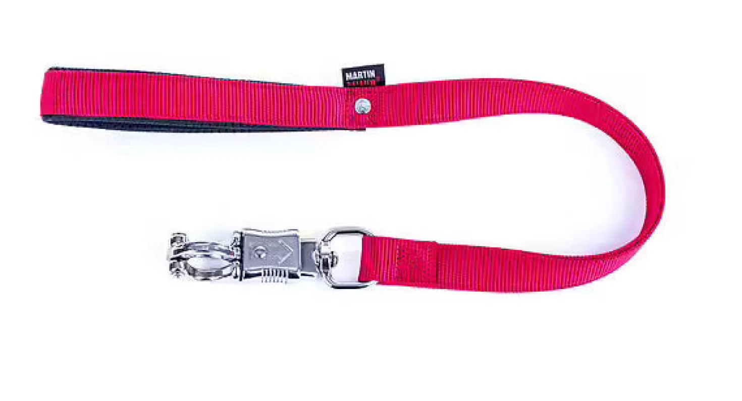 Laisse nylon Bazouka