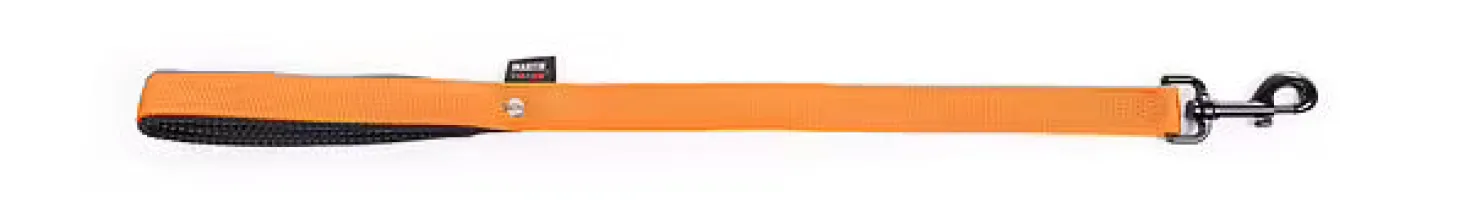 Laisse nylon double