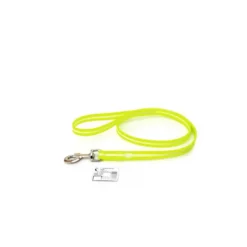 Laisse pour chien Lumino
