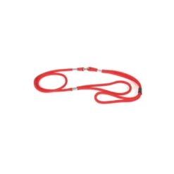 Laisse pour chien nylon Present