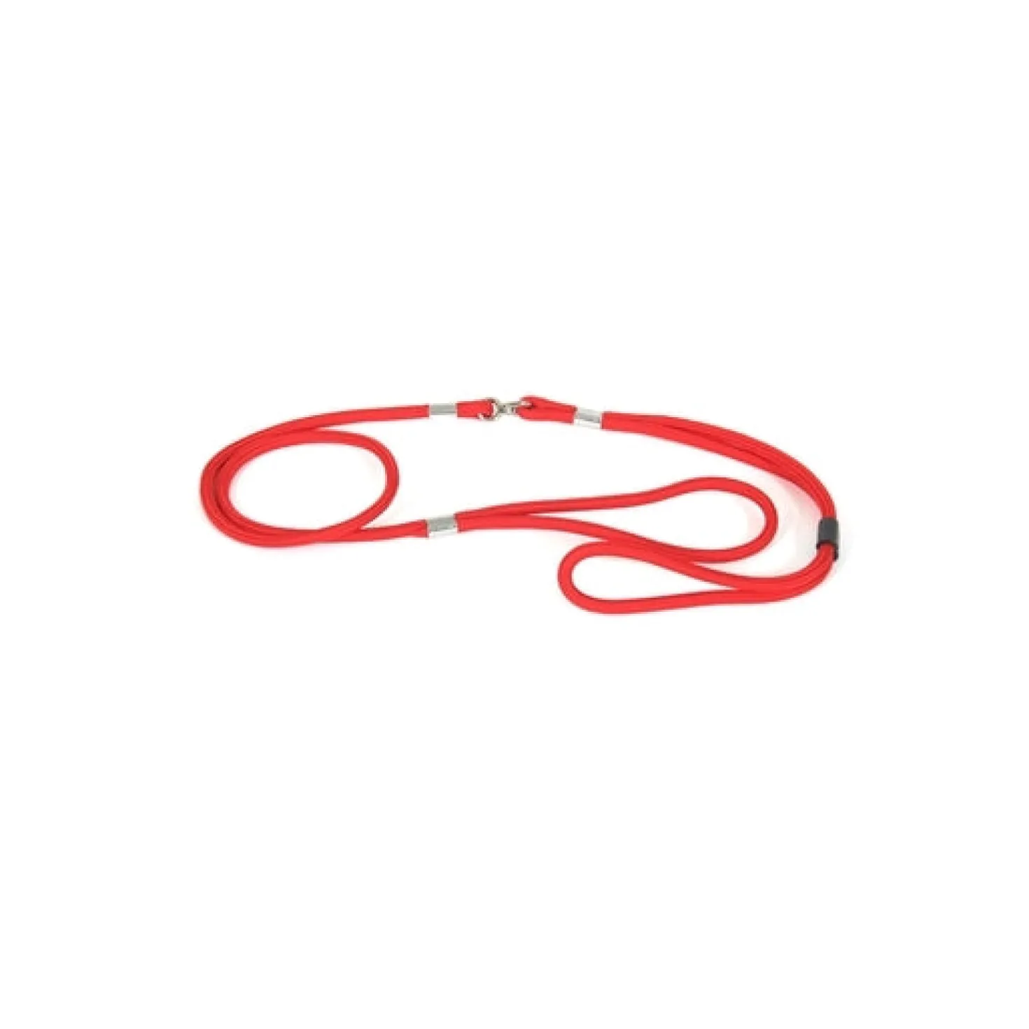 Laisse pour chien nylon Present