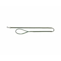 Laisse pour chien - Premium nylon