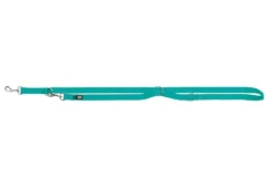 Laisse premium reglable pour chien