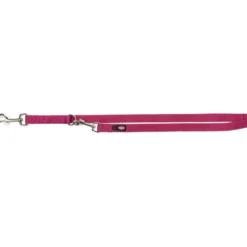 Laisse premium reglable pour chien