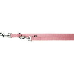 Laisse premium reglable pour chien