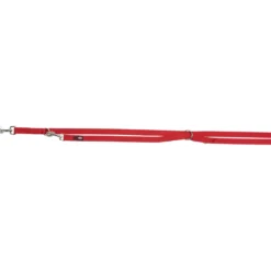 Laisse premium reglable pour chien
