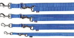 Laisse premium reglable pour chien