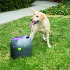 Lanceur de balles automatique chien