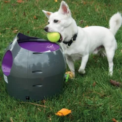 Lanceur de balles automatique chien