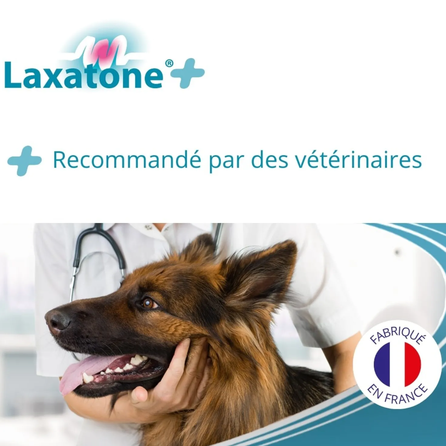 Laxatone Plus - chien, chat