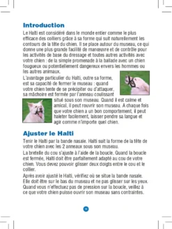 Licol Halti chien