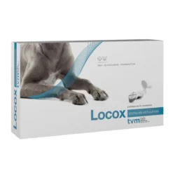 Locox - chien, chat