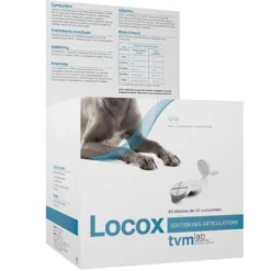 Locox - chien, chat