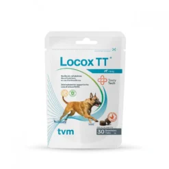 Locox TT chien