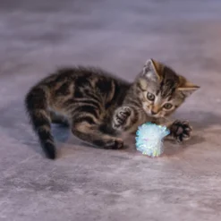 Lot de 4 balles froissées chat, chaton
