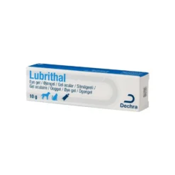 Lubrithal chat, chien