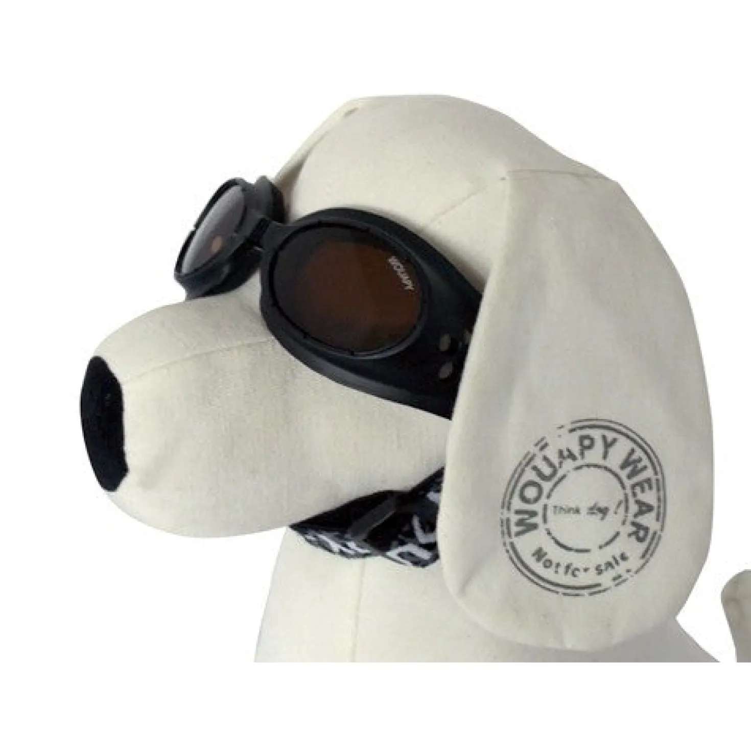 Lunettes de soleil chien