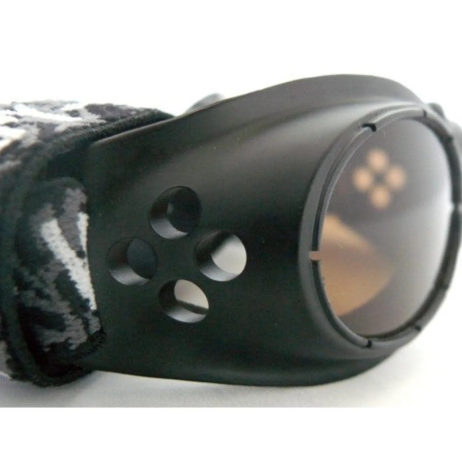 Lunettes de soleil chien