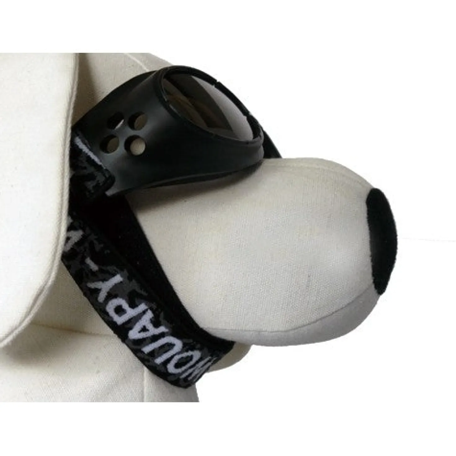 Lunettes de soleil chien