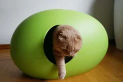 Maison de toilette Poopoopeedo chat