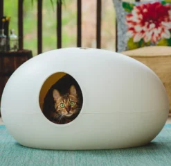 Maison de toilette Poopoopeedo chat