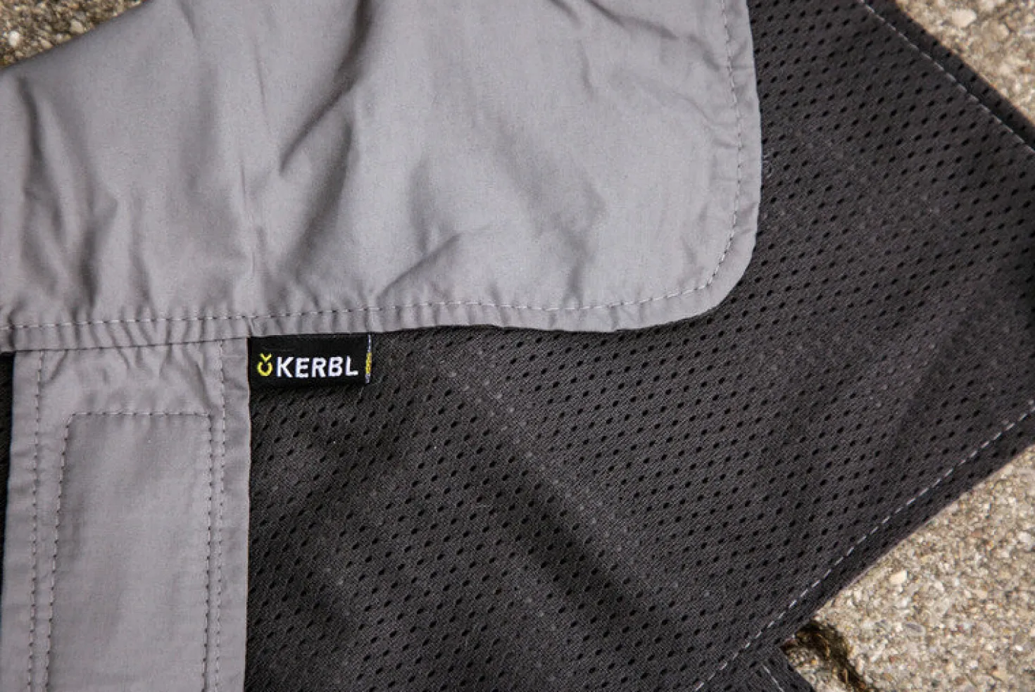 Manteau Seattle avec capuche chien