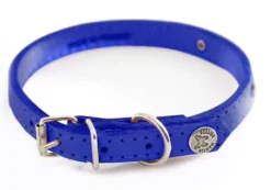 Martin sellier - Chien - Collier