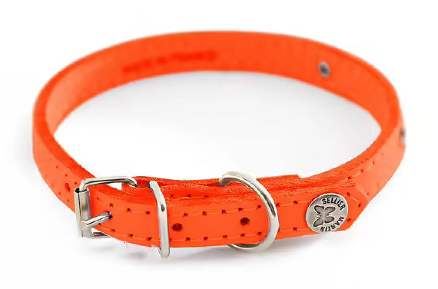 Martin sellier - Chien - Collier