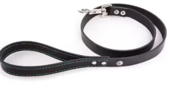 Martin Sellier - Chien - Laisse cuir Flash couture fluo