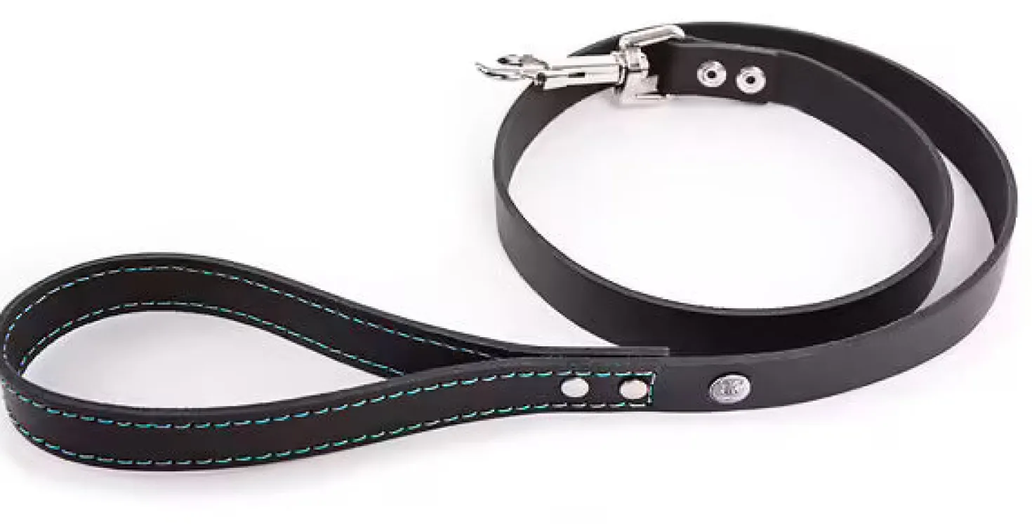 Martin Sellier - Chien - Laisse cuir Flash couture fluo