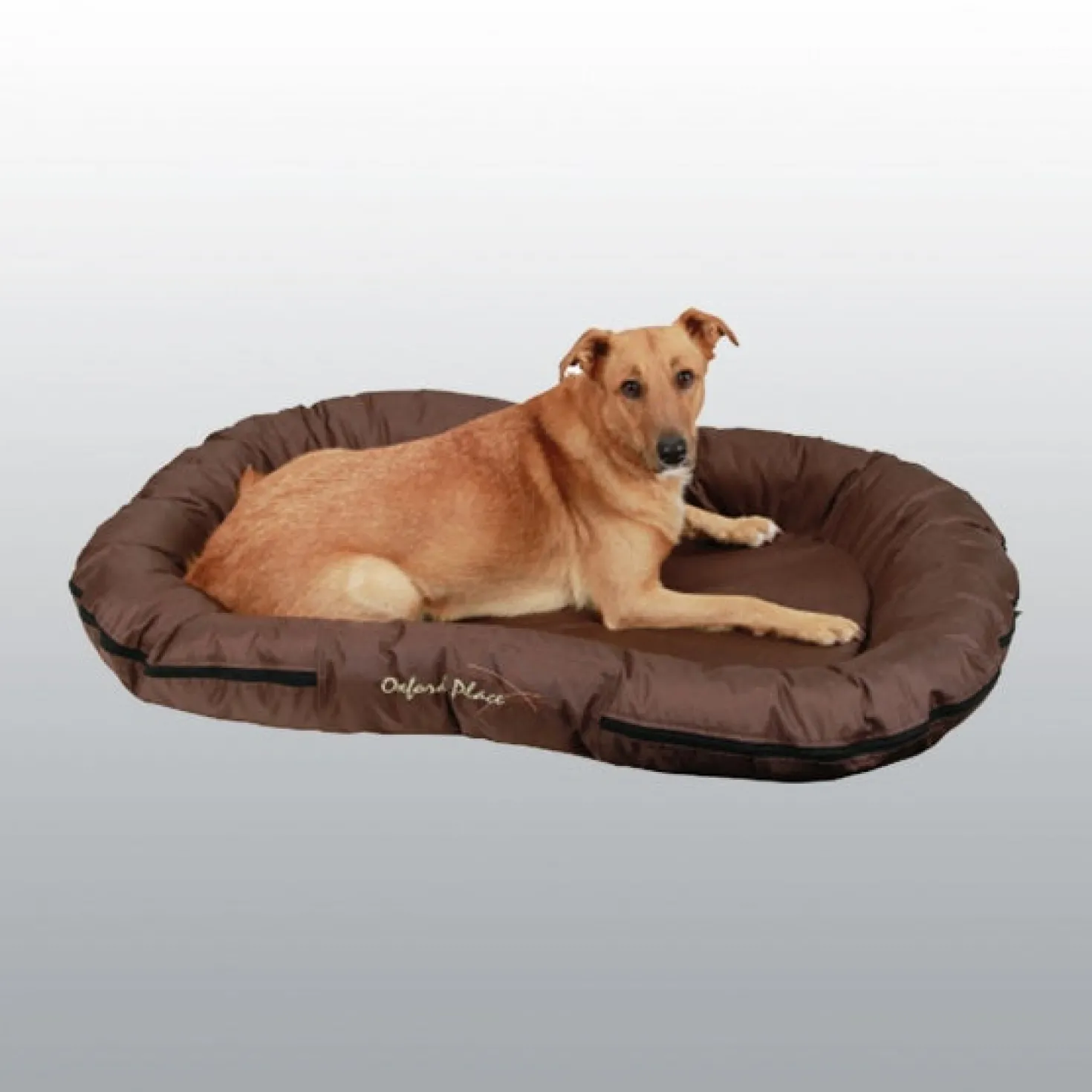 Matelas intérieur & extérieur chien