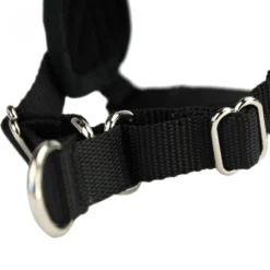 Multi Harnais Classic chien